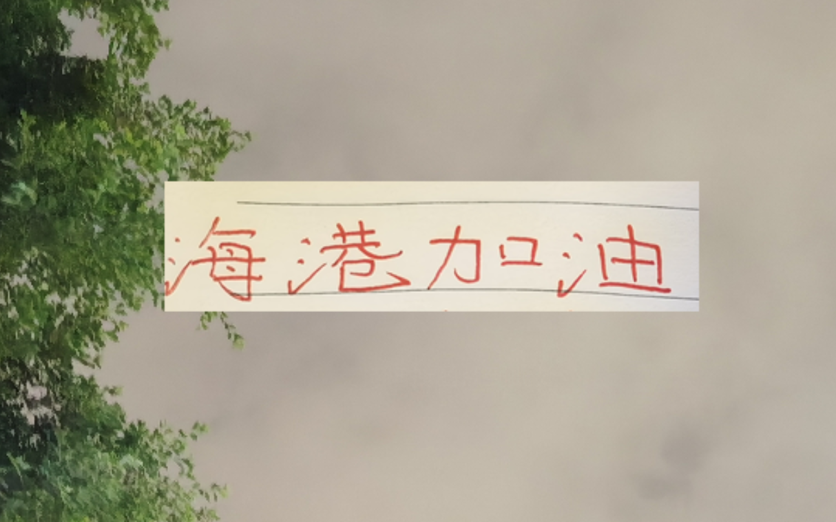 海港也算是把政策用到极致！有五外援 有港澳台 还有归化球员